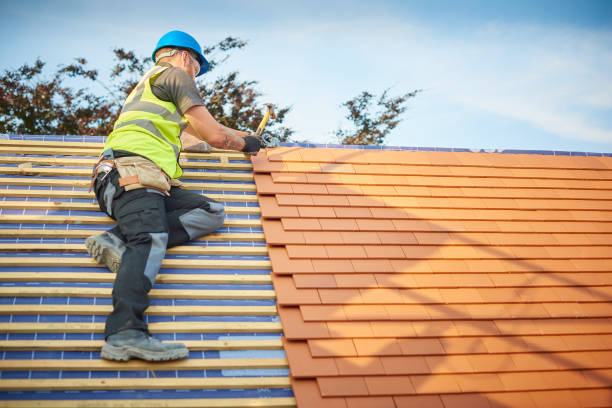 Best Roof Moss and Algae Removal  in Pulaski, NY